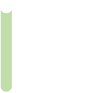 Fallow deer 1.5m